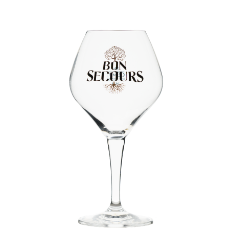 Verre à bière Bon Secours 50cl