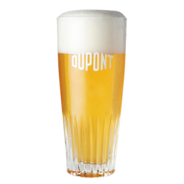 Verres à bière Dupont 25cl