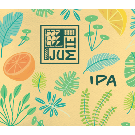 JUMIE IPA 5,8° 33CL CARTON