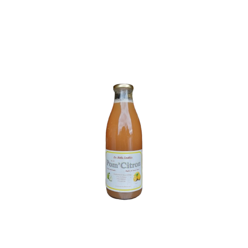 JUS POM'CITRON 1L CAISSE X12