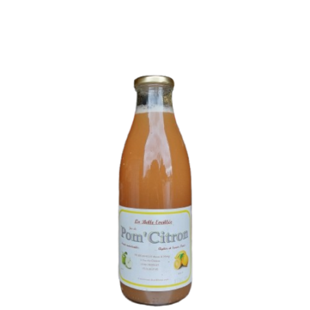 JUS POM'CITRON 1L CAISSE X12