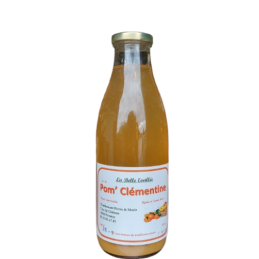 JUS POM'CLÉMENTINE 1L CAISSE X12