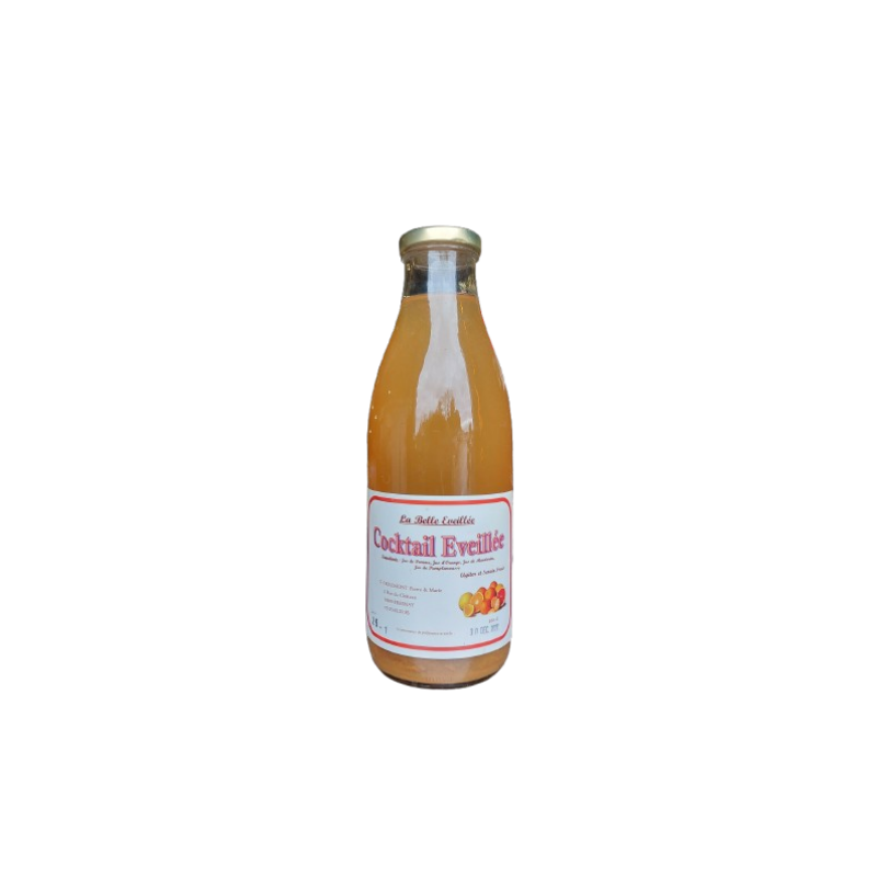 JUS COCKTAIL ÉVEILLÉE 1L CAISSE X12