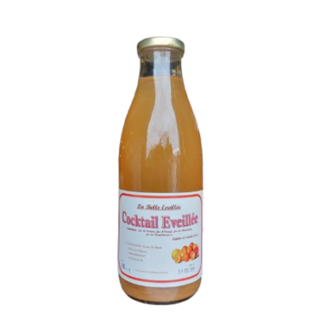 JUS COCKTAIL ÉVEILLÉE 1L CAISSE X12