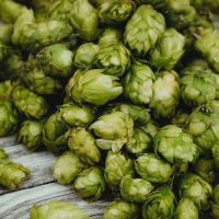 Bières à dominante amère